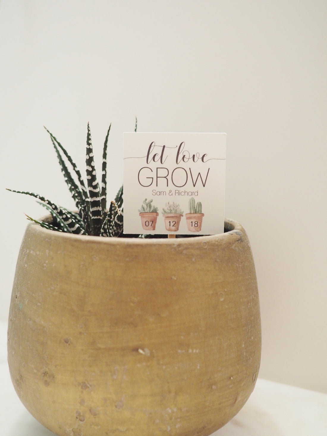 Succulent - Let Love Grow Favor Tags  - Creativien